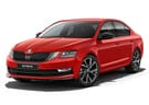 Коврики на Skoda Octavia A7 2013 - 2020 в Екатеринбурге