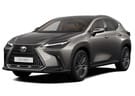 EVA коврики на Lexus NX II 2021 - 2025 в Екатеринбурге