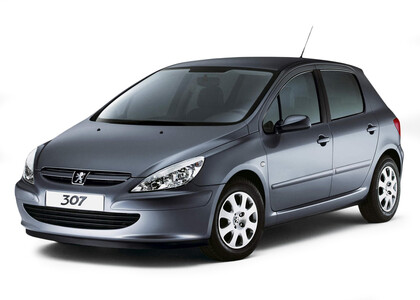 Коврики на Peugeot 307 2001 - 2008 в Екатеринбурге