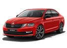 Коврики на Skoda Octavia A7 2013 - 2020 в Екатеринбурге