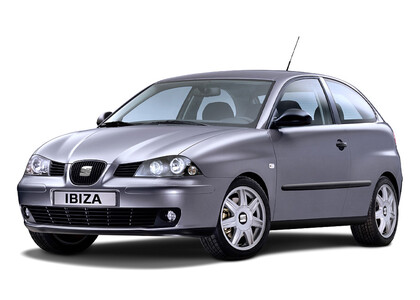 Ворсовые коврики на Seat Ibiza III 2001 - 2008 в Екатеринбурге