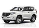 Ворсовые коврики на Toyota Land Cruiser Prado 150 2009 - 2023 в Екатеринбурге