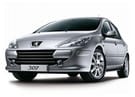 Ворсовые коврики на Peugeot 307 2001 - 2008 в Екатеринбурге