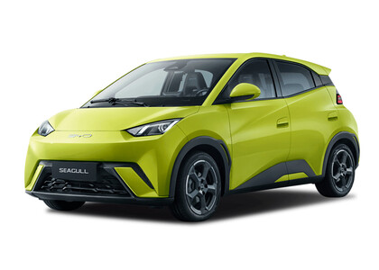 Коврики на BYD Seagull 1 2023&nbsp;-&nbsp;2026 в Екатеринбурге