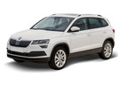 Ворсовые коврики на Skoda Karoq 2017 - 2025 в Екатеринбурге