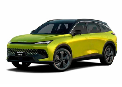 Коврики на Baic X55 2022 - 2025 в Екатеринбурге