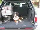 Ворсовые коврики на BMW X5 (E53) 1999 - 2006 в Екатеринбурге